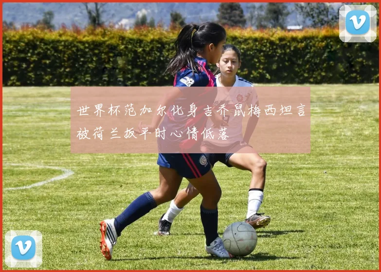 世界杯范加尔化身吉乔鼠梅西坦言被荷兰扳平时心情低落