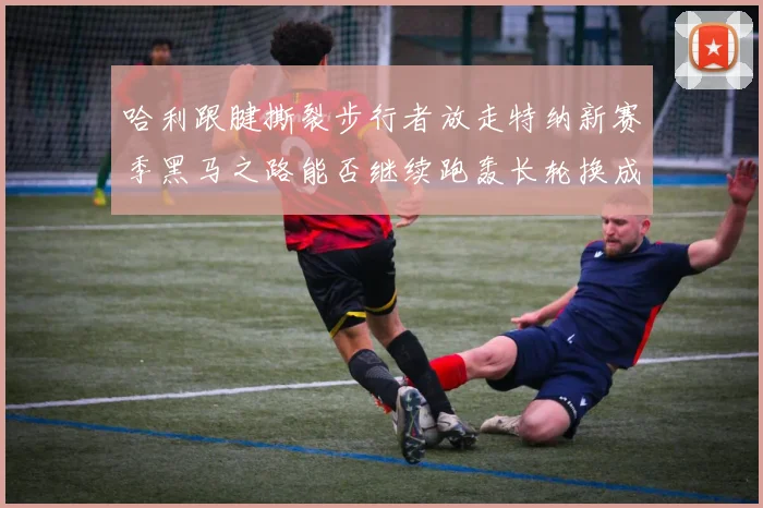 哈利跟腱撕裂步行者放走特纳新赛季黑马之路能否继续跑轰长轮换成关键
