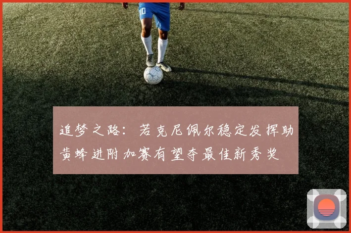 追梦之路：若克尼佩尔稳定发挥助黄蜂进附加赛有望夺最佳新秀奖