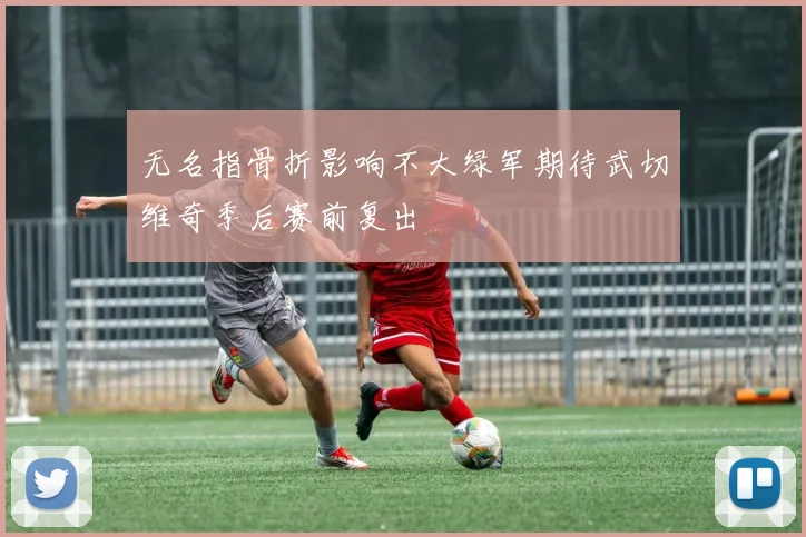 无名指骨折影响不大绿军期待武切维奇季后赛前复出